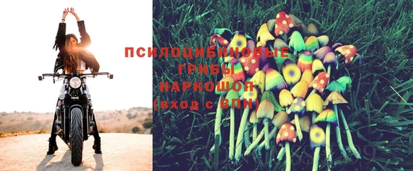 кокаин колумбия Новозыбков