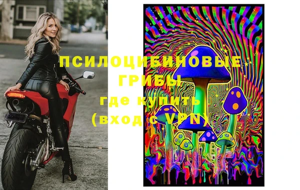 прущая мука Аркадак