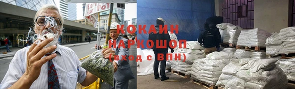 шишки Армянск